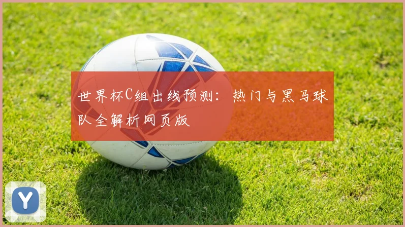 世界杯C组出线预测：热门与黑马球队全解析网页版