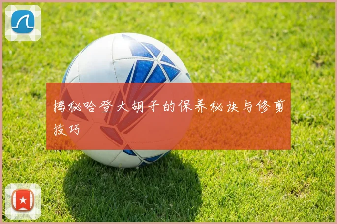 揭秘哈登大胡子的保养秘诀与修剪技巧