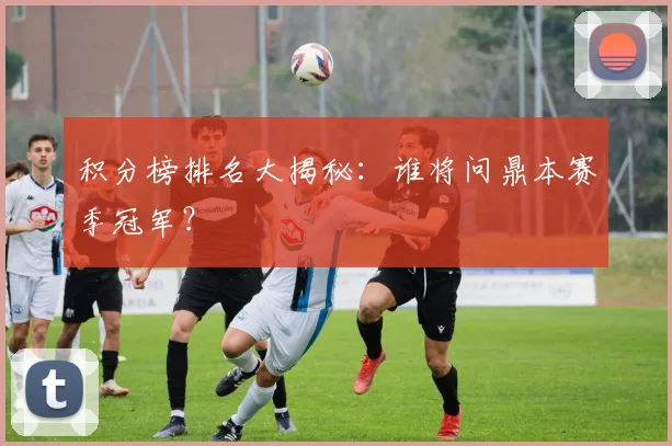 积分榜排名大揭秘：谁将问鼎本赛季冠军？